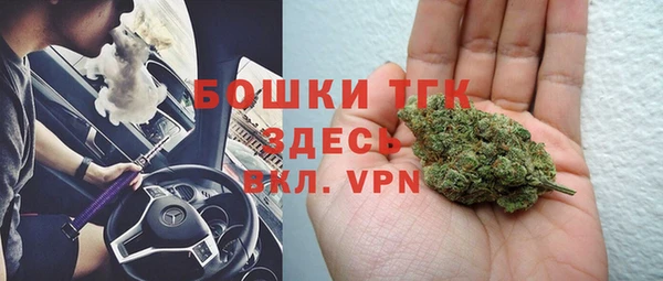 твердый Магас