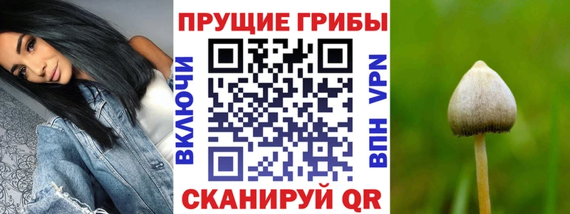 мориарти официальный сайт  Устюжна  Галлюциногенные грибы GOLDEN TEACHER  купить наркоту 